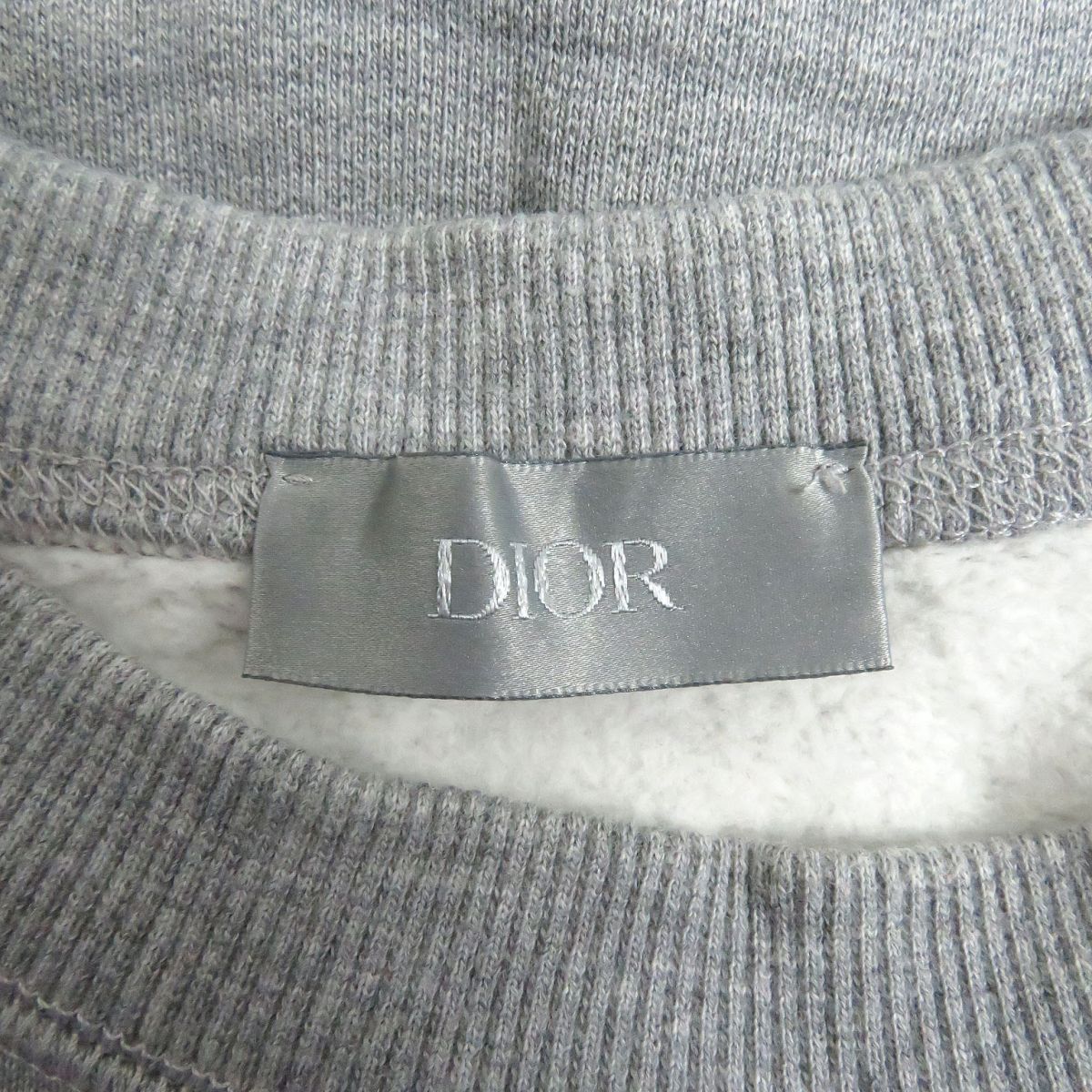 Dior Homme x Peter Doig Sweatshirt Gray XL