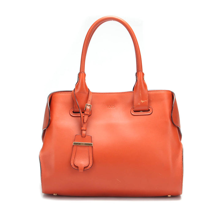 Small Cape Leather Tote