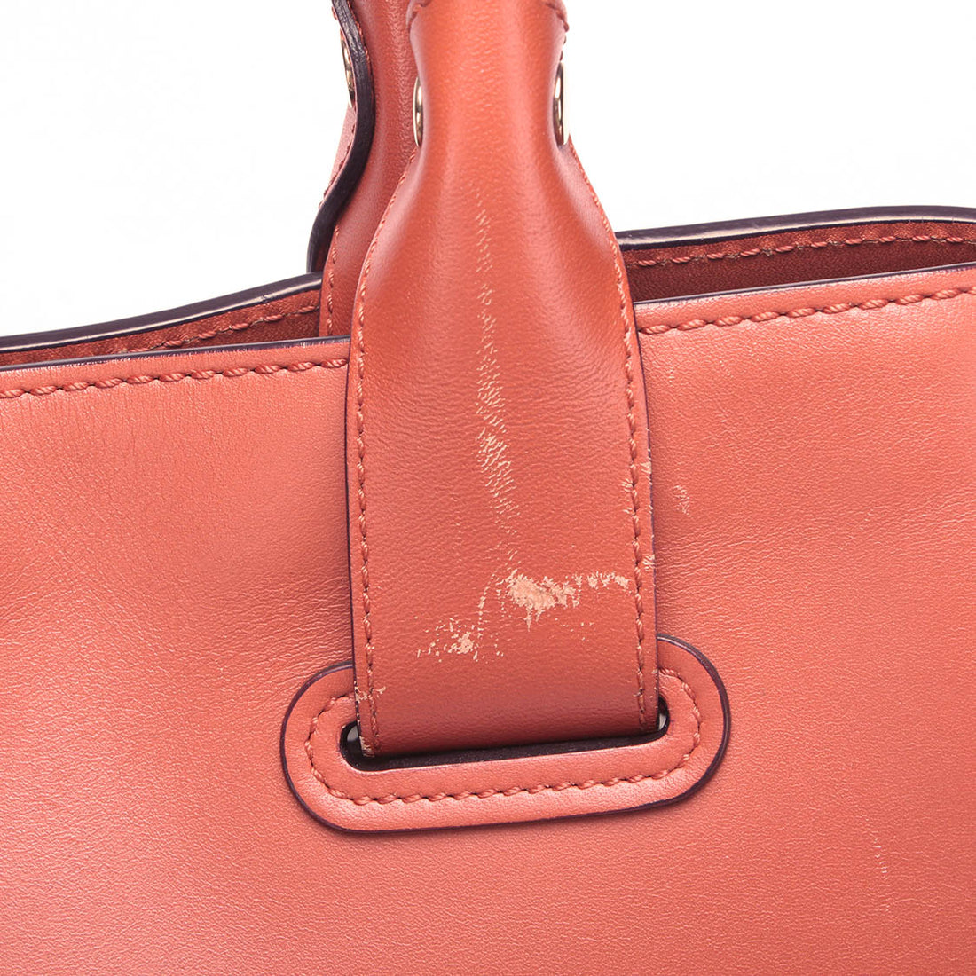 Small Cape Leather Tote