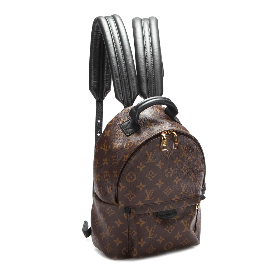 Monogram Palm Springs PM Backpack