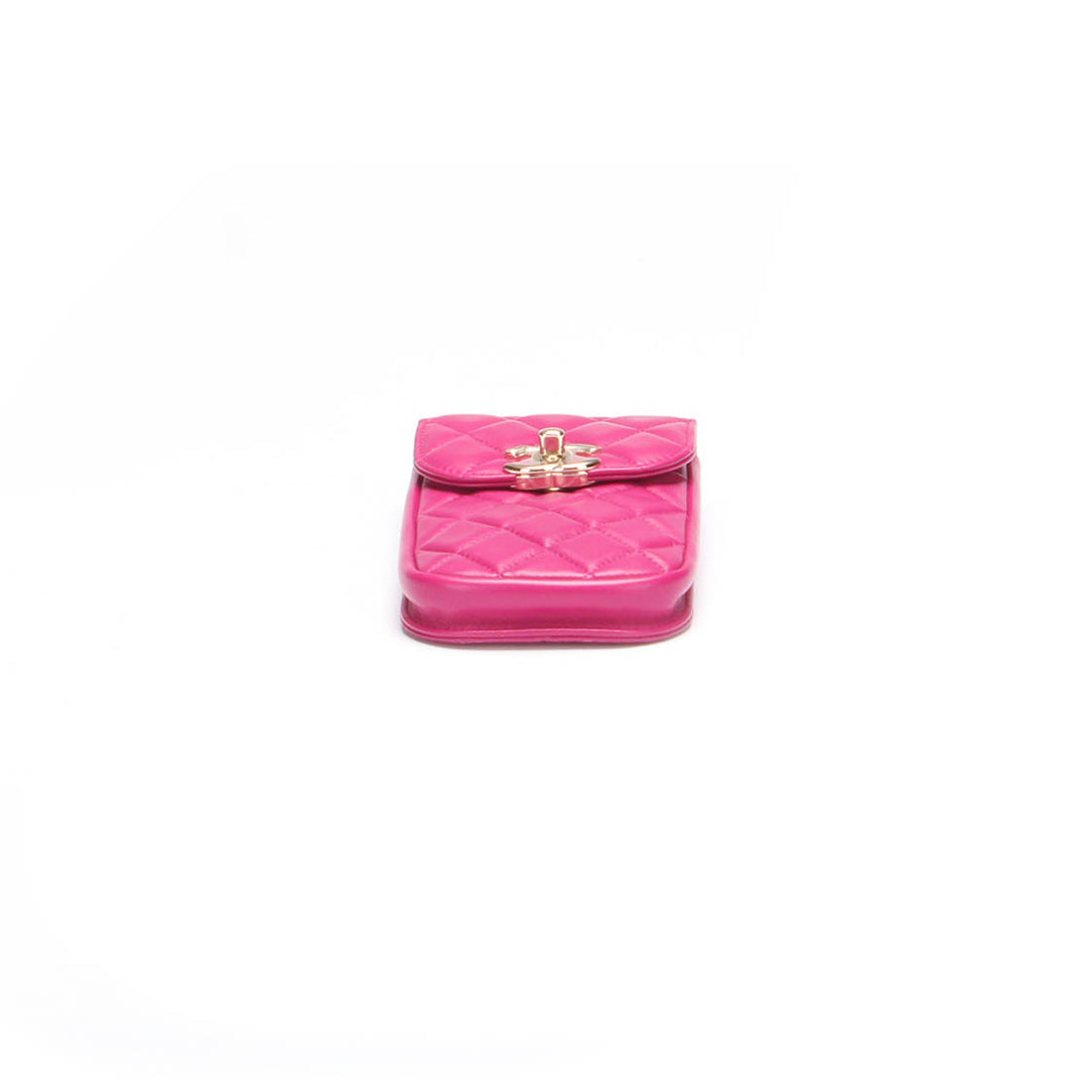 CC clutch bag