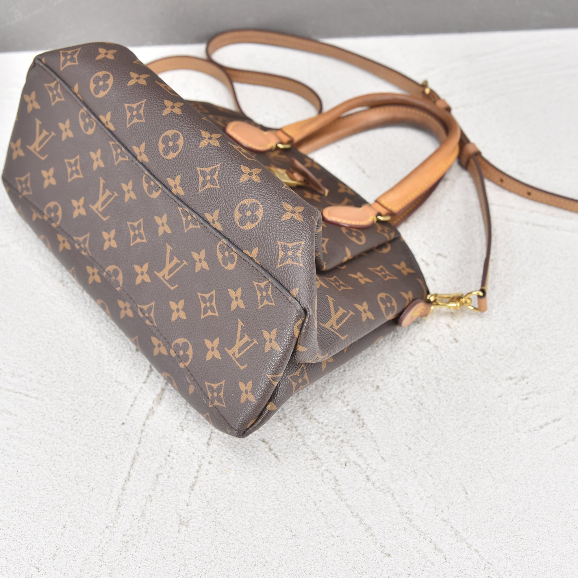 Louis Vuitton Monogram Rivoli MM