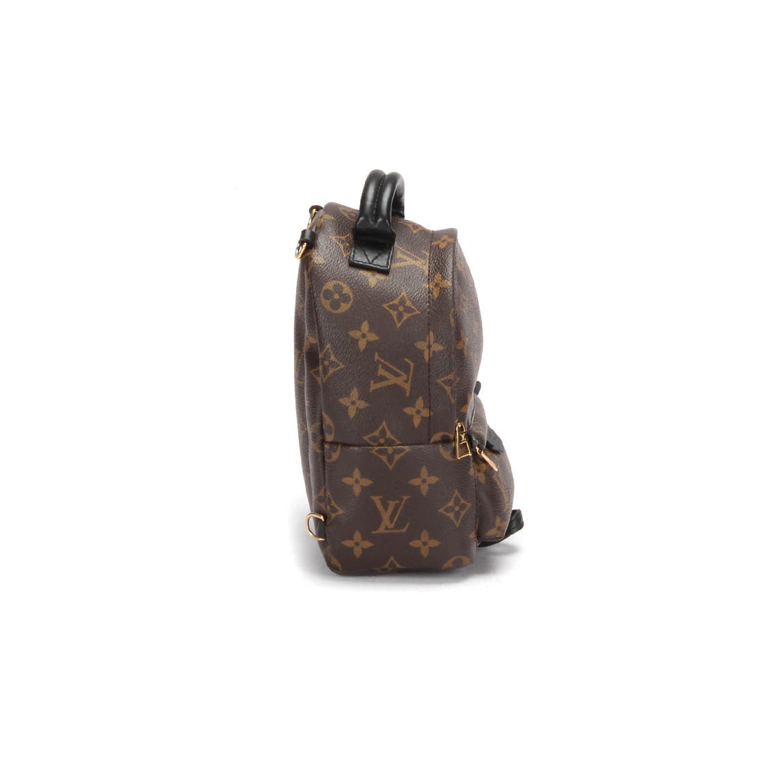 Monogram Mini Palm Springs  M44873