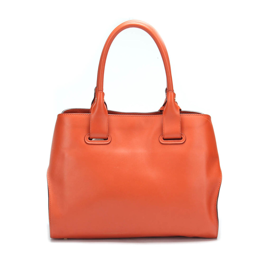 Small Cape Leather Tote