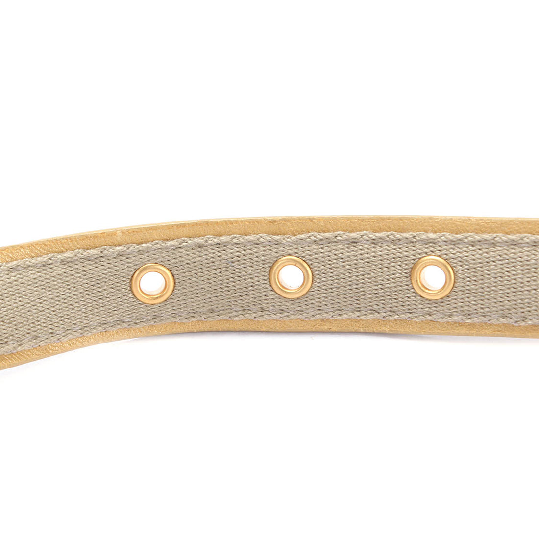 Metallic Leather Belt