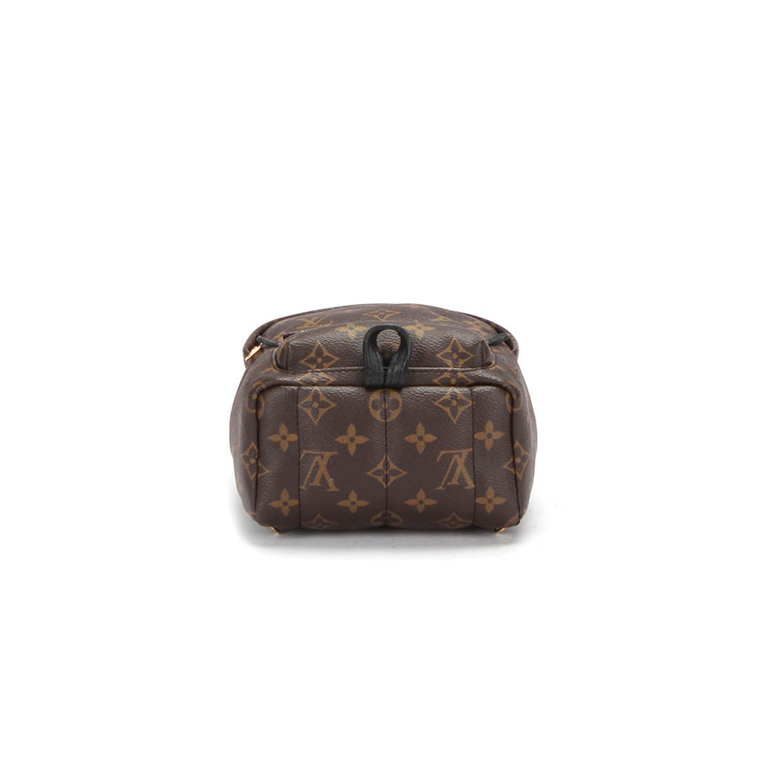 Monogram Mini Palm Springs  M44873