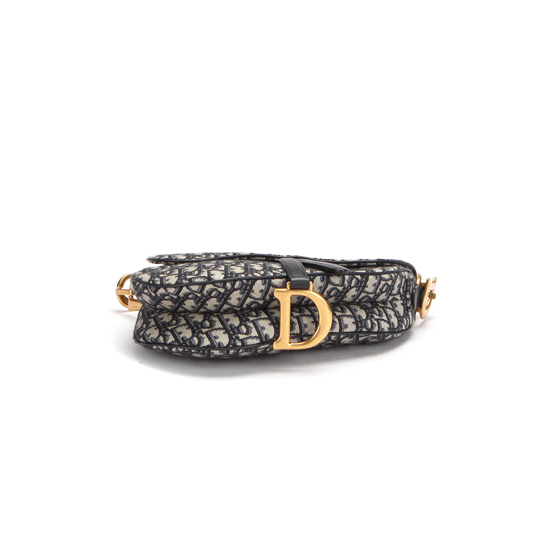 Dior Oblique Rasta Saddle Bag – LuxUness