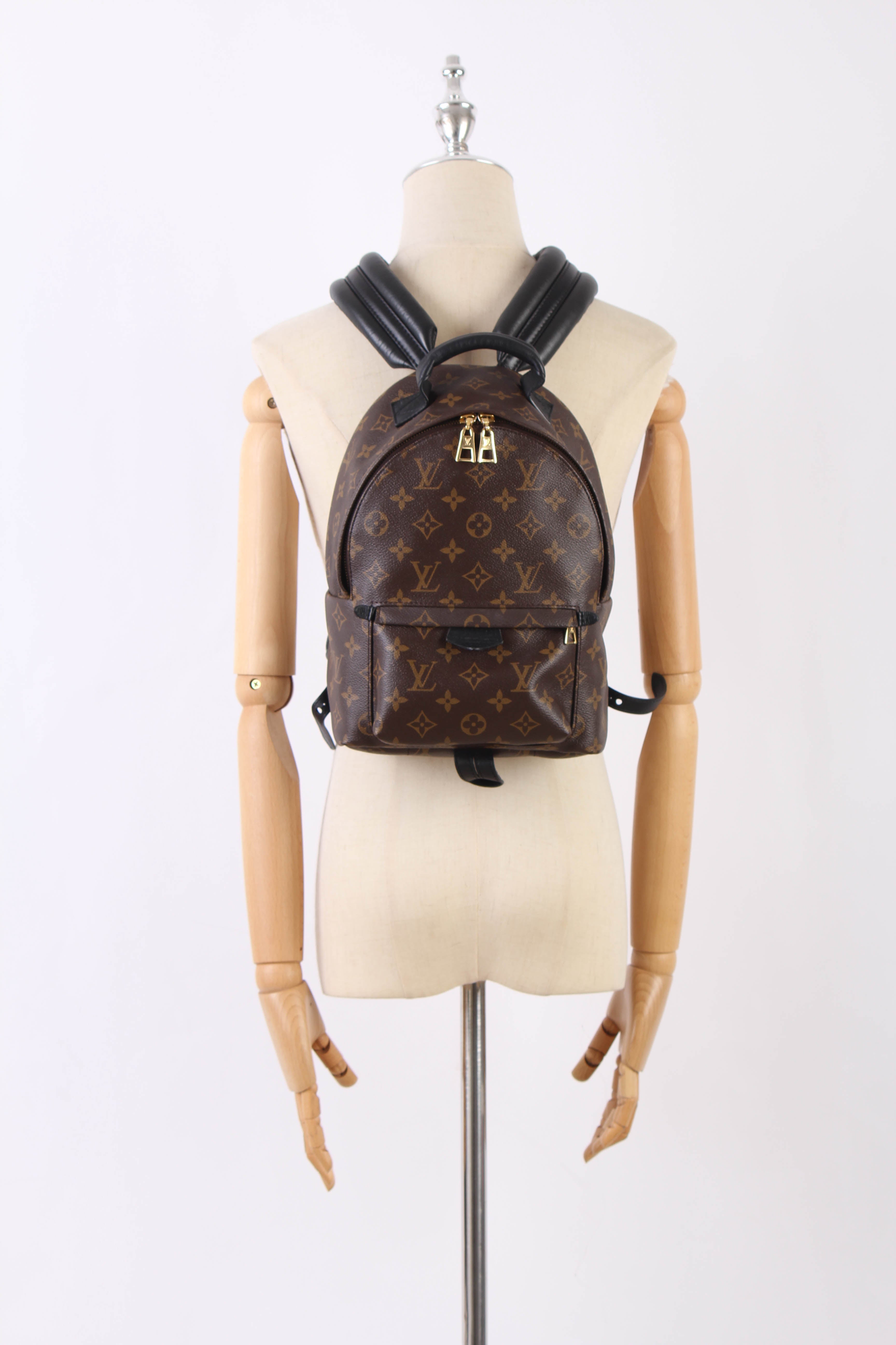 Monogram Palm Springs PM Backpack