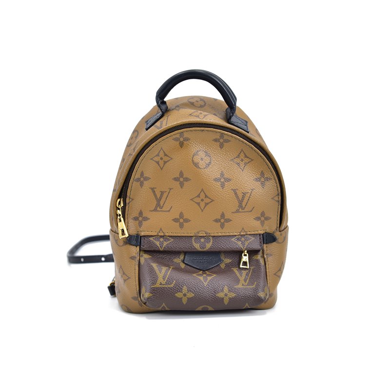 Louis Vuitton Monogram Reverse Palm Springs Mini Backpack