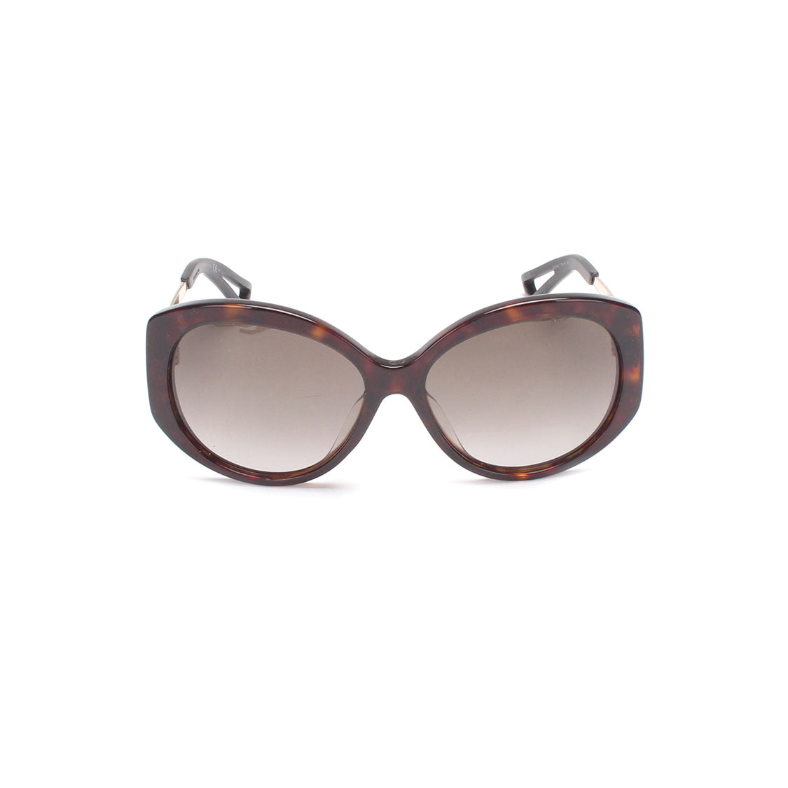 Dior Oversized Tinted Sunglasses Plastic Sunglasses in Good condition