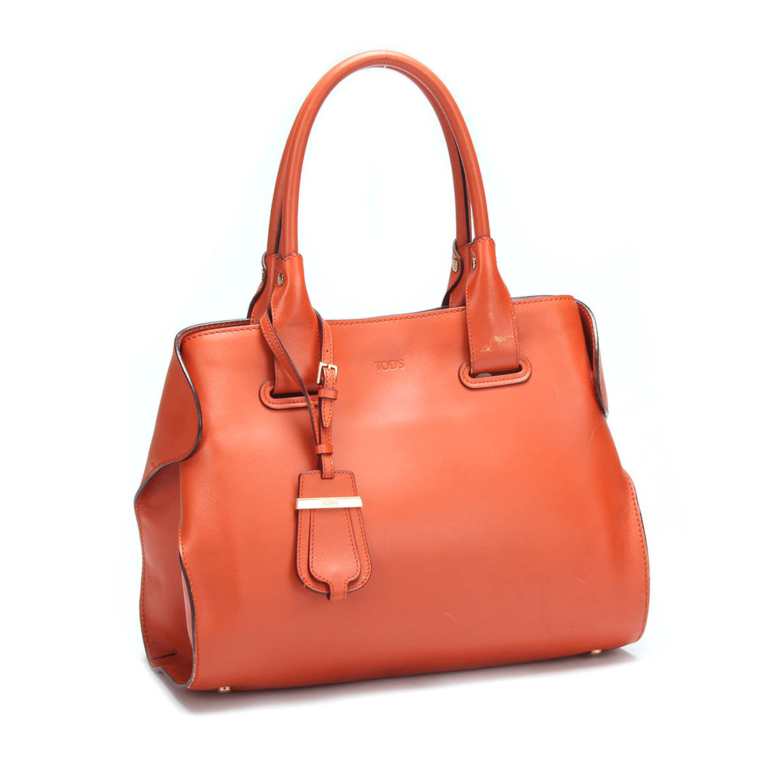 Small Cape Leather Tote