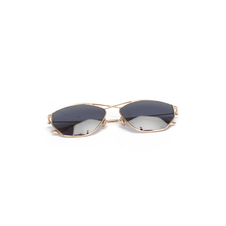 DiorStellaire4 Tinted Sunglasses